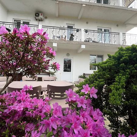 Guest House Junona Makhinjauri Exterior photo